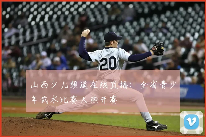 山西少儿频道在线直播:全省青少年武术比赛火热开赛